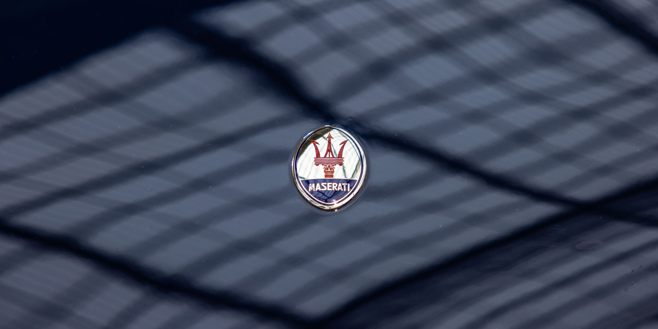Insurance Logo 1